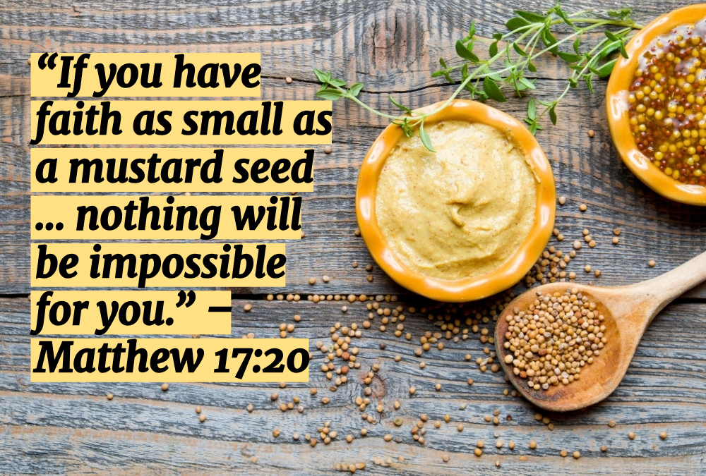What Does Mustard Have to Do with Healthcare?