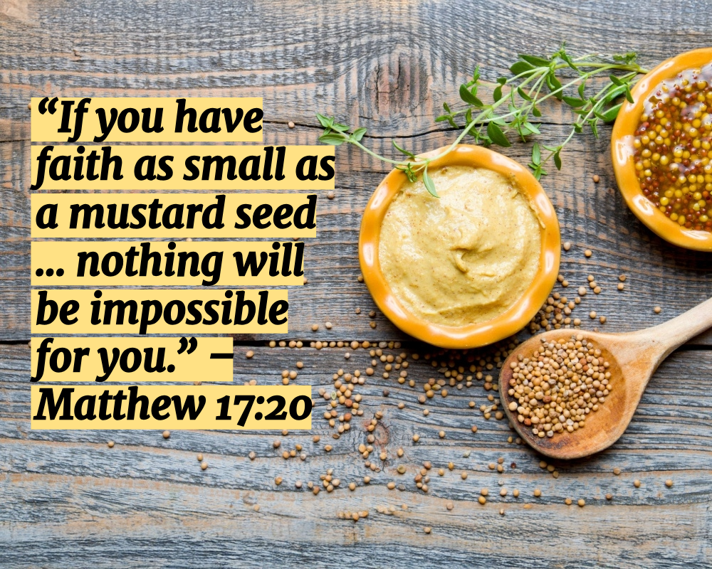 A mustard seed next to a dish of mustard, illustrating Matthew 17:20 about faith the size of a mustard seed